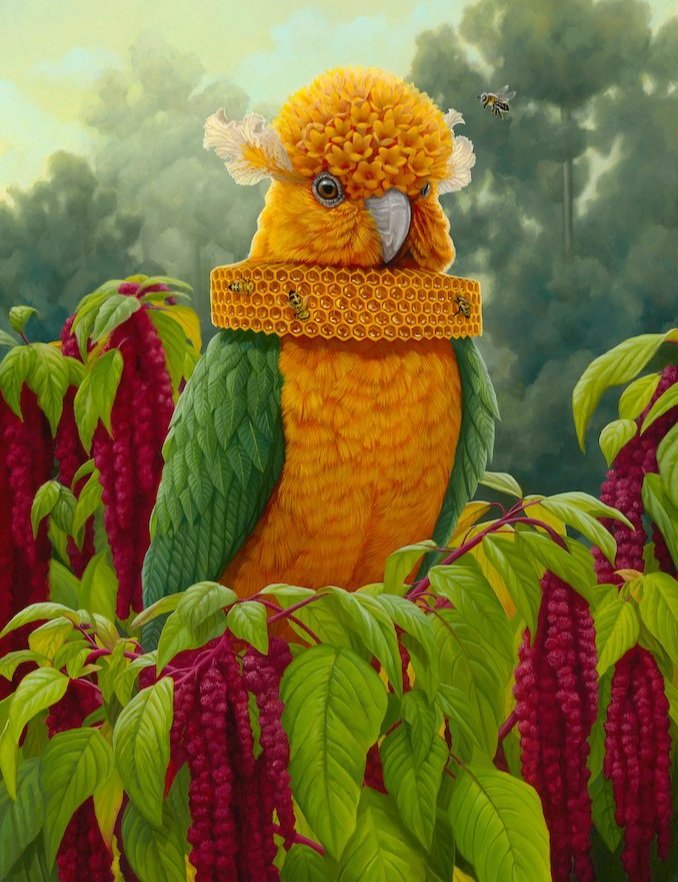 Shop — Jon Ching Art